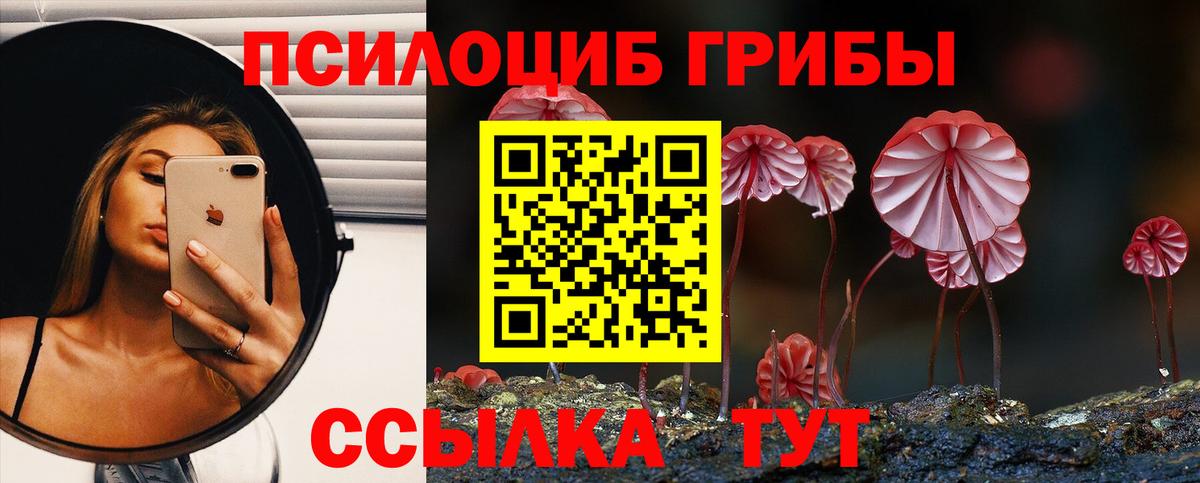 Псилоцибиновые грибы GOLDEN TEACHER  сколько стоит  Кирово-Чепецк  Вход с VPN  Галлюциногенные грибы MAGIC MUSHROOMS 