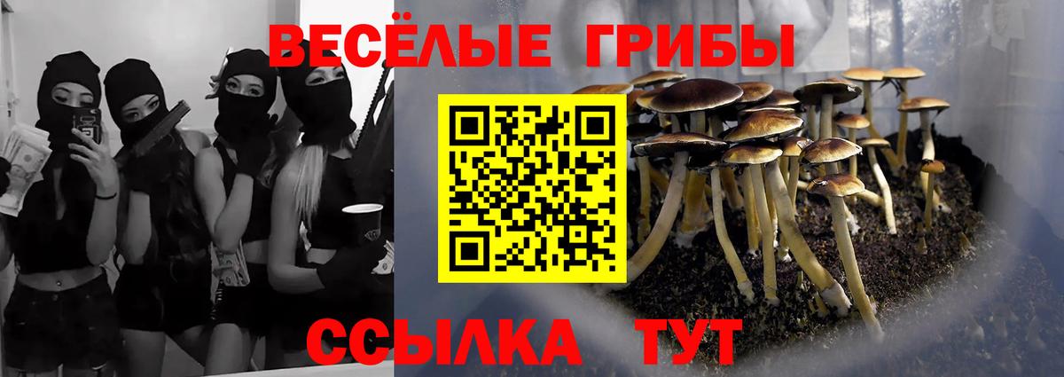 Псилоцибиновые грибы мухоморы Кирово-Чепецк